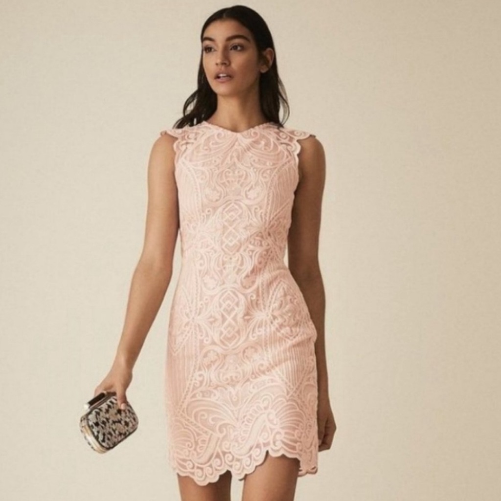 Euc Reiss Roxanda Capped Sleeve Light Pink Lace Sheath Dress Size 10